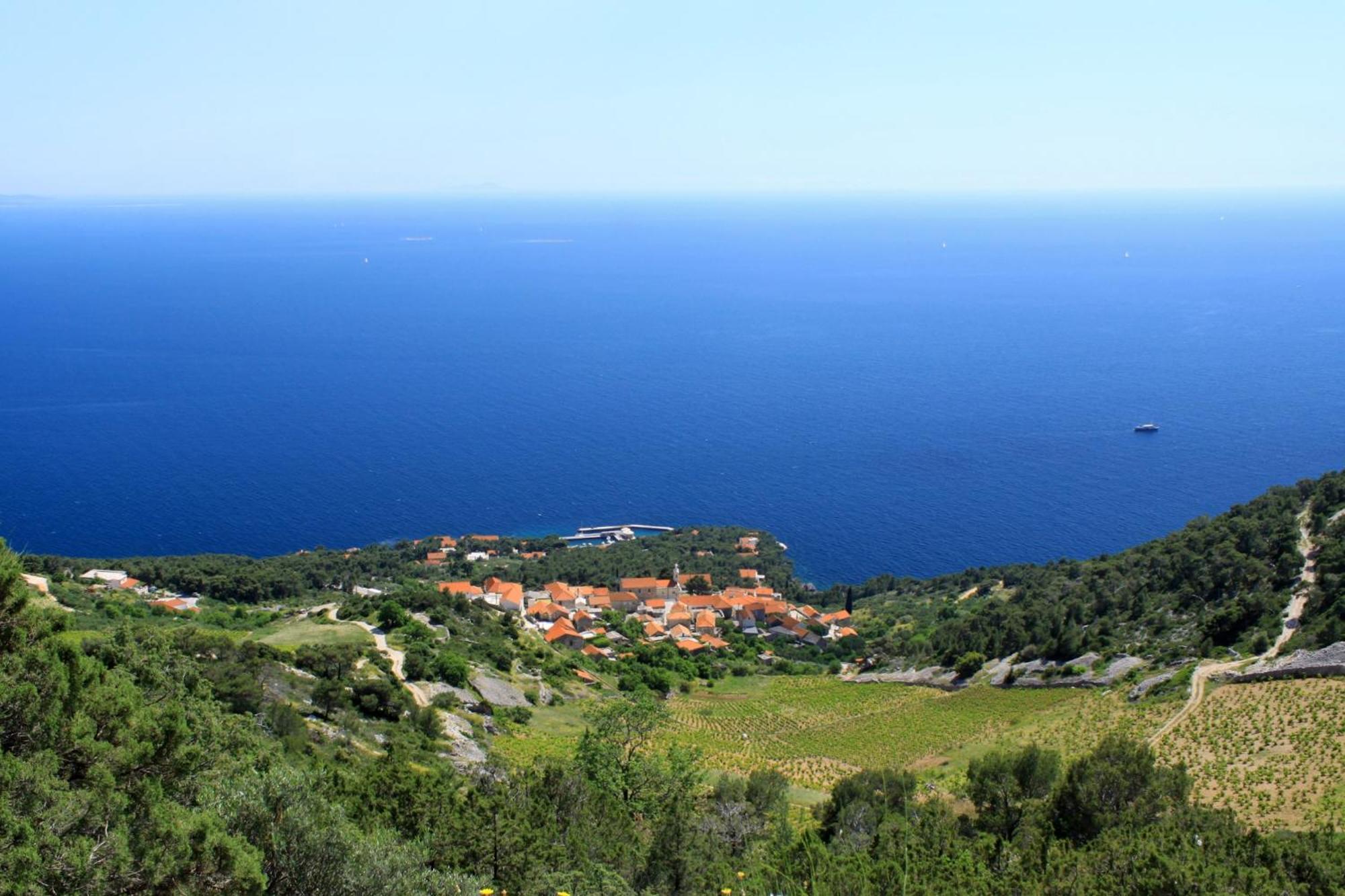House With A Swimming Pool Sveta Nedilja, Hvar - 22136 *